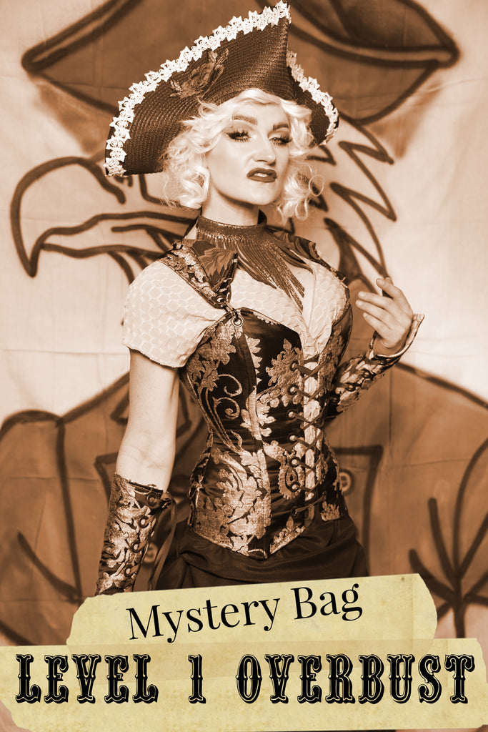 Level 1 Overbust Mystery Bag- 2025 BLACK FRIDAY