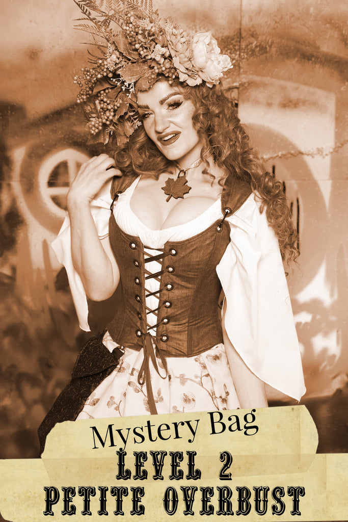 Level 2 PETITE Overbust Mystery Bag-2025 BLACK FRIDAY