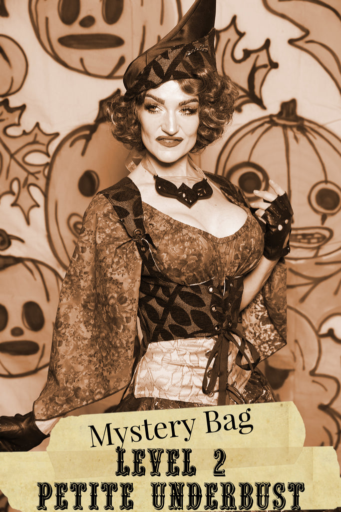 Level 2 PETITE Underbust Mystery Bag- 2025 BLACK FRIDAY