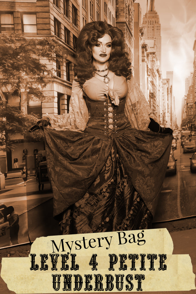 Level 4 PETITE Underbust- DELUXE Mystery Bag- 2025 BLACK FRIDAY PART 2