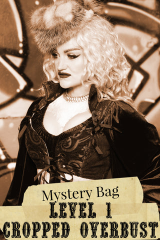 Level 1 Cropped Overbust Mystery Bag**PLEASE Order by Bust Measurement!*- 2025 BLACK FRIDAY