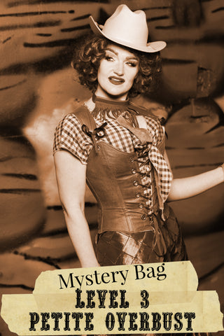 Level 3 PETITE OVERBUST Mystery Bag- 2025 BLACK FRIDAY