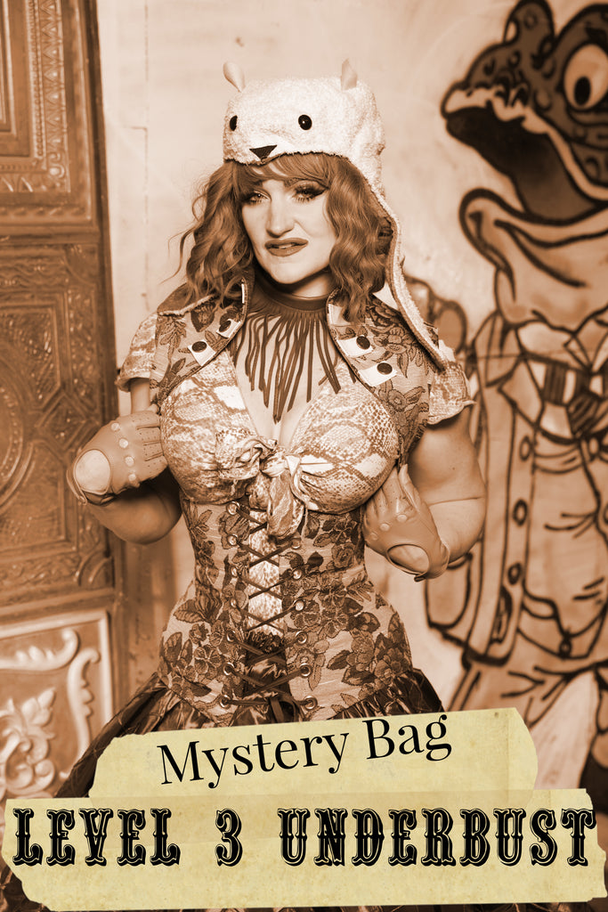 Level 3 Underbust Mystery Bag-  2025 BLACK FRIDAY