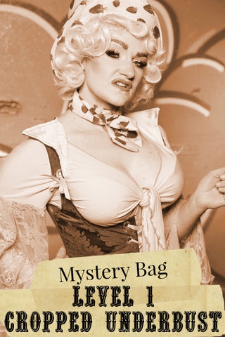 Level 1 Cropped Underbust Mystery Bag - 2025 BLACK FRIDAY - PART 2